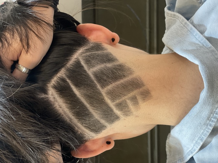 Buzz cut by Mykey on a house call, photo 2.